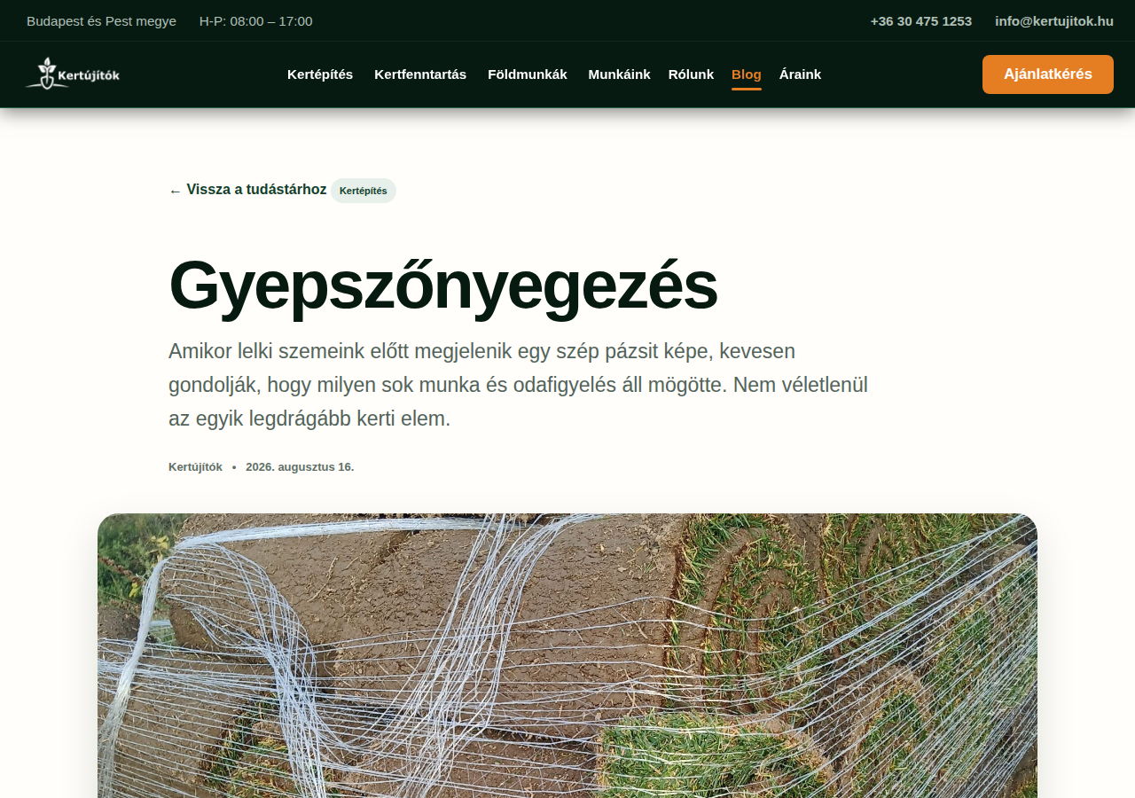 design-module-sections — public-article-mouse-segment-01
