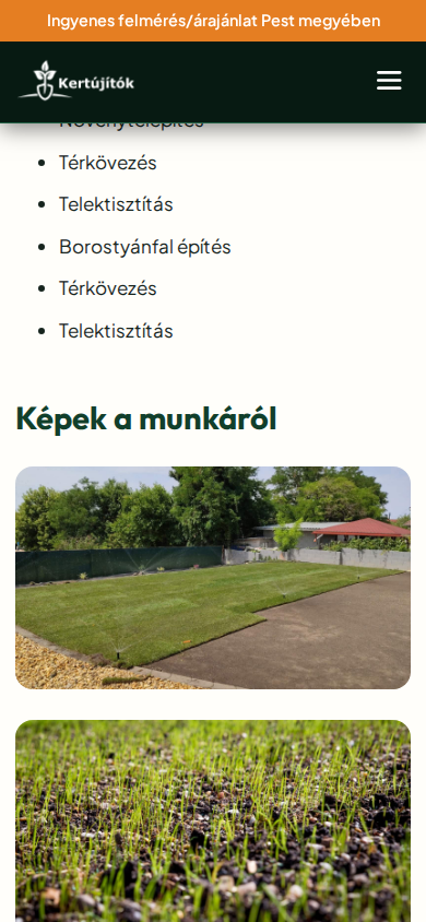 design-module-sections — mobile390-public-article-segment-03
